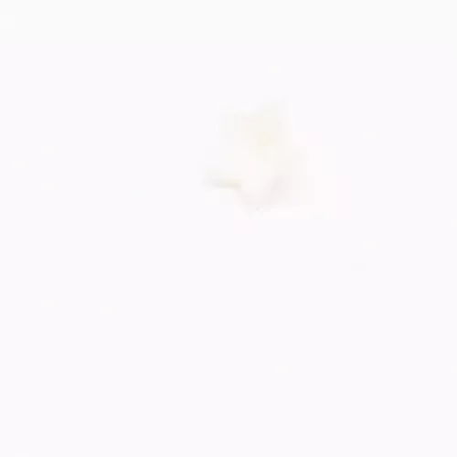 Playmobil 30258182 Flower 5-pointed - White