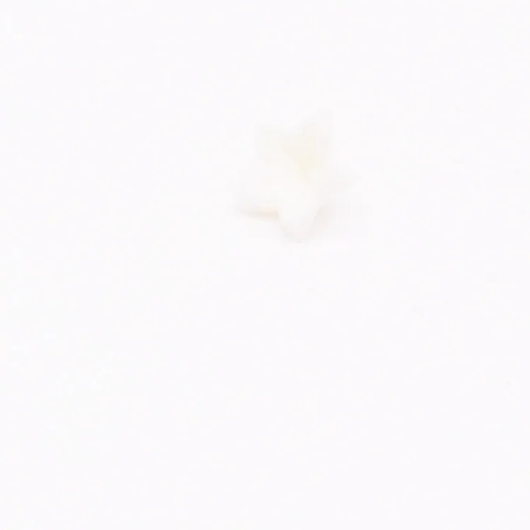 Spare part Playmobil 30258182 Flower 5-pointed - White